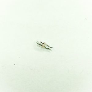 لامپ رشته ای 6 ولت 3X6 میلی متر