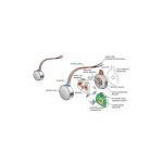 موتور ویبره 3 ولتی ابعاد 10X3mm