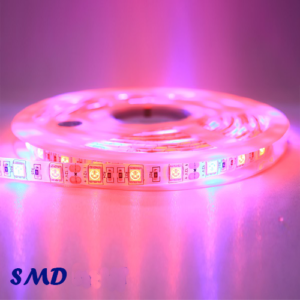 ال ای دی نواری صورتی درشت 5050 یک متری ضد آب 12 ولت 60LED